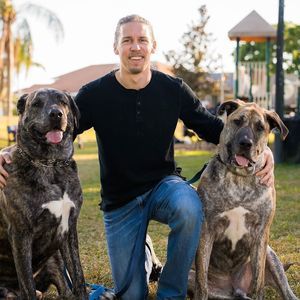 Meet your Posher, Justin